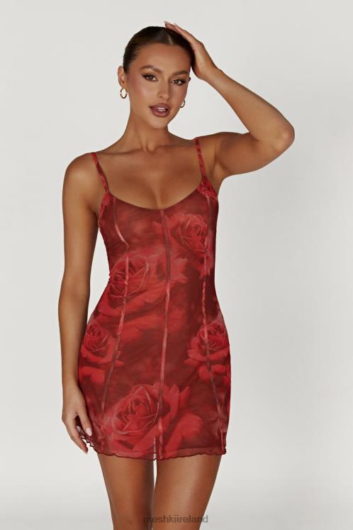 Meshki Esther Mesh Panelled Mini Dress Clothing Oversized Rose Print 6DX22565